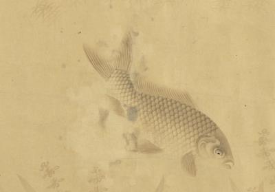 图片[2]-School of Fish Frolicking Among Water Plants-China Archive